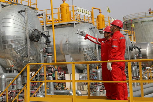 中国石油长庆采油十厂真抓实干勇夺生产主动权